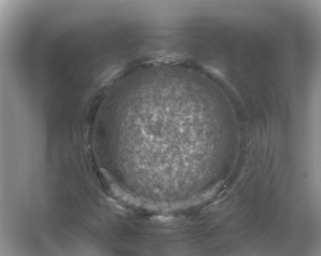 X0000067481399200604150004