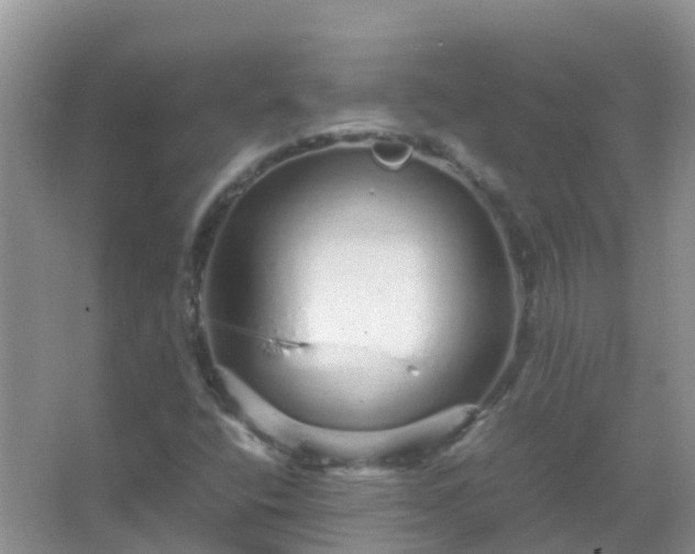 X0000067481400200604150004