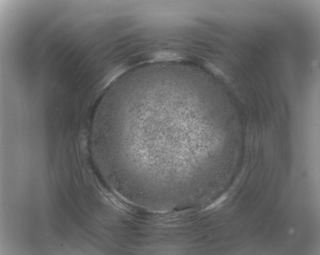 X0000067481401200604150004