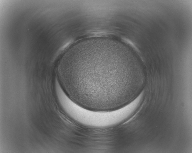 X0000067481403200604150004