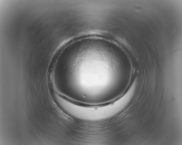 X0000067481404200604150004