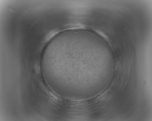 X0000067481407200604150004