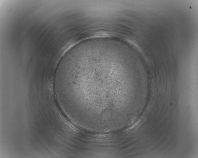 X0000067481409200604150004