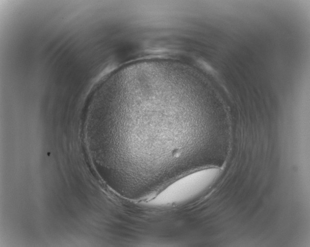 X0000067481411200604150004