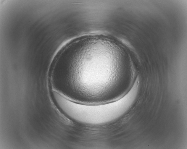 X0000067481412200604150004