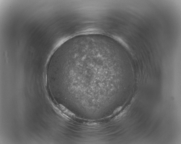 X0000067481413200604150004