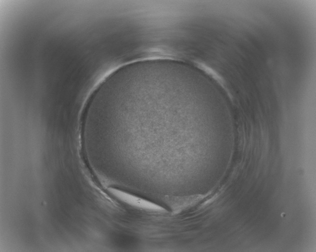 X0000067481415200604150004