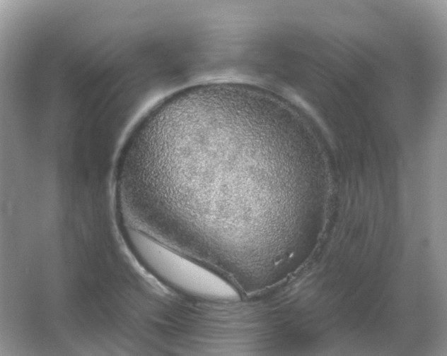 X0000067481416200604150004