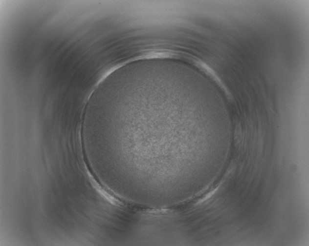 X0000067481417200604150004