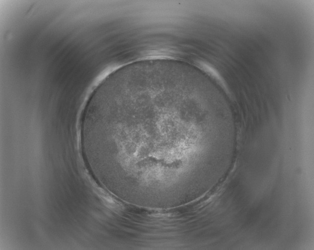 X0000067481419200604150004