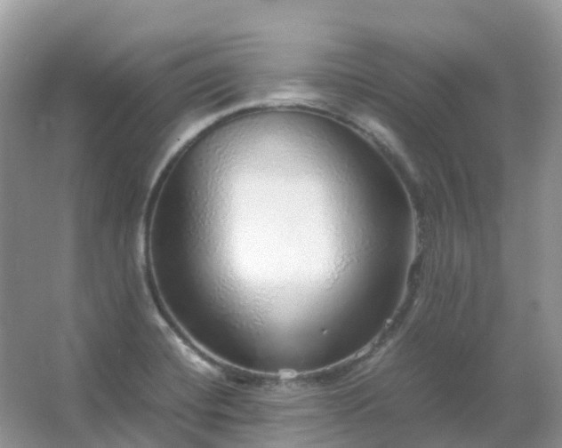 X0000067481420200604150004