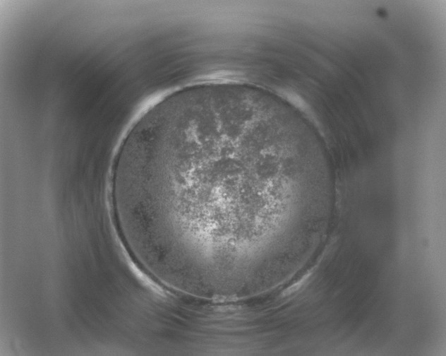 X0000067481421200604150004