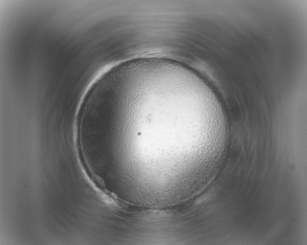 X0000067481424200604150004