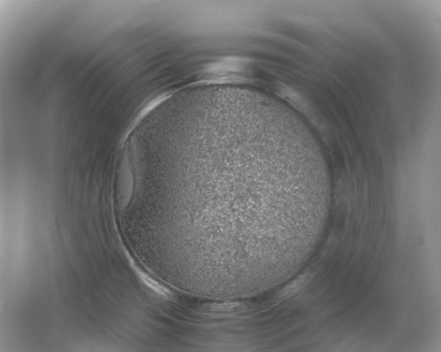 X0000067481425200604150004