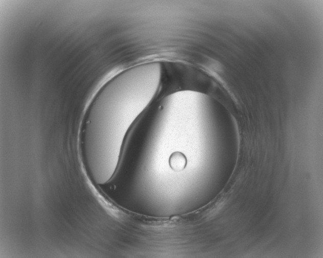 X0000067481426200604150004