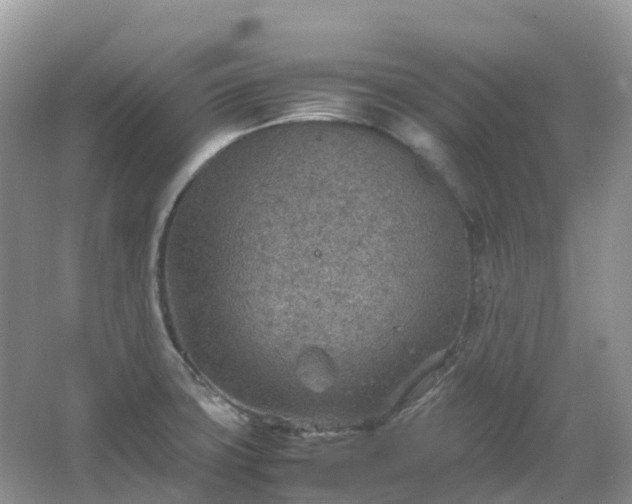 X0000067481427200604150004