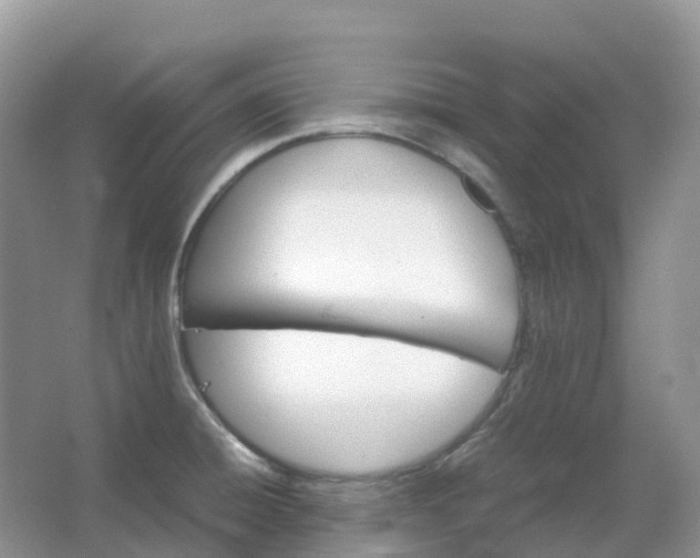 X0000067481428200604150004