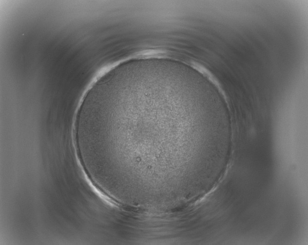 X0000067481429200604150004