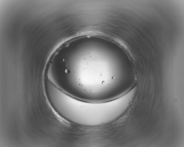 X0000067481430200604150004