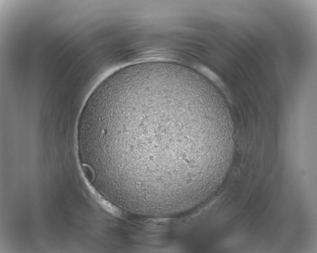 X0000067481431200604150004