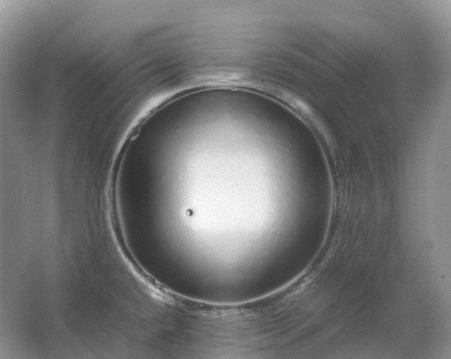 X0000067481432200604150004