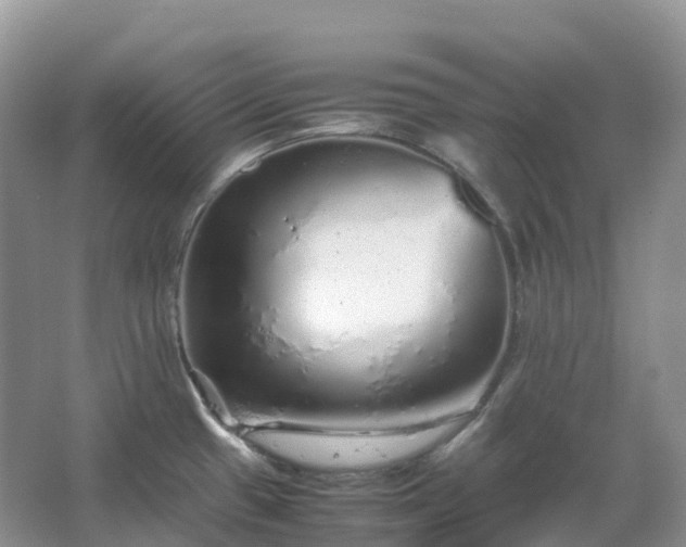 X0000067481433200604150004