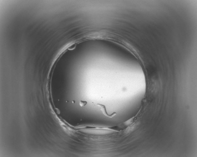 X0000067481434200604150005