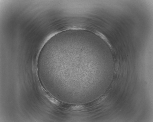 X0000067481435200604150005