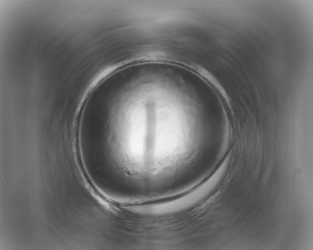 X0000067481437200604150005