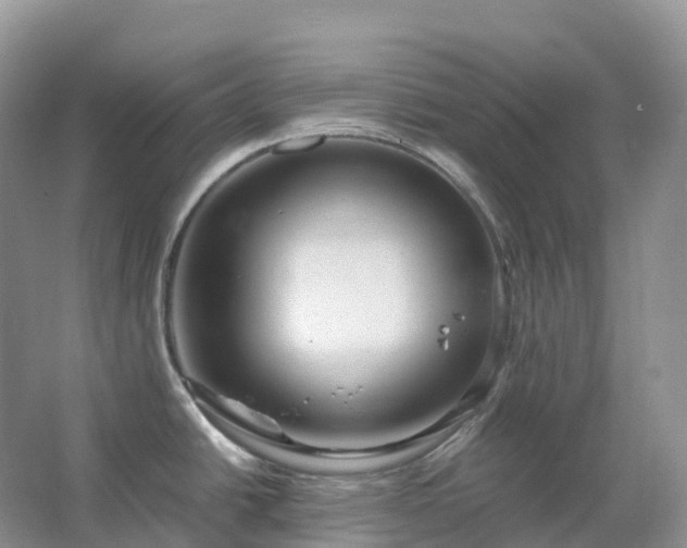 X0000067481438200604150005