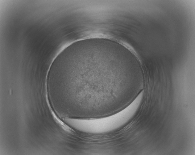 X0000067481439200604150005