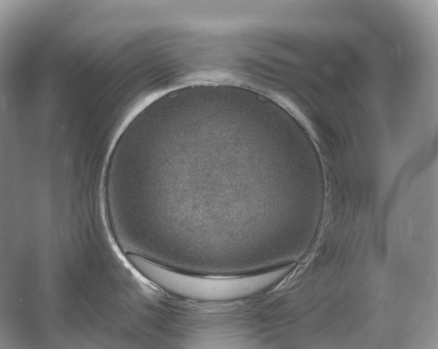 X0000067481440200604150005