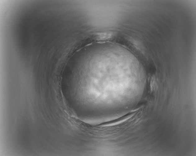 X0000067481441200604150004