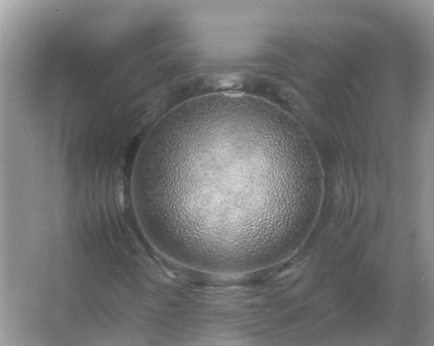 X0000067481442200604150004