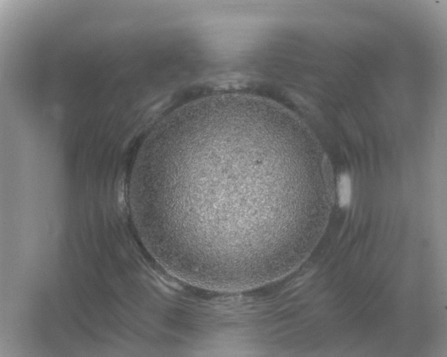 X0000067481444200604150004