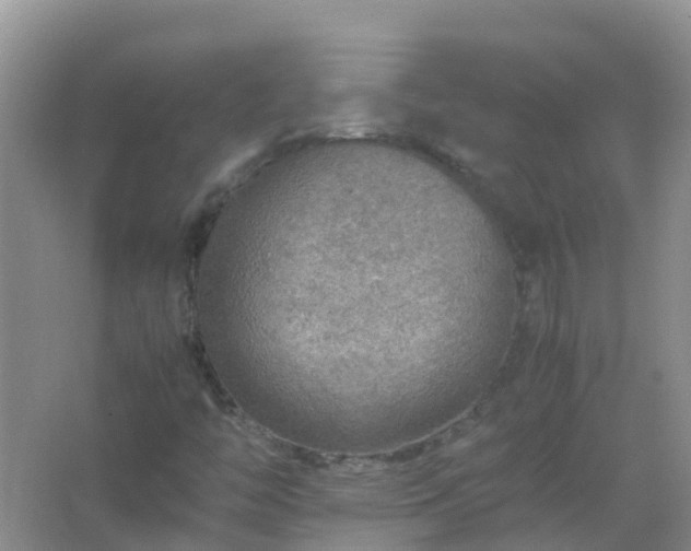 X0000067481446200604150004