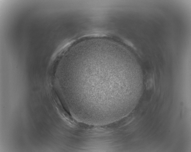 X0000067481448200604150004