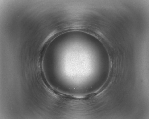 X0000067481450200604150004