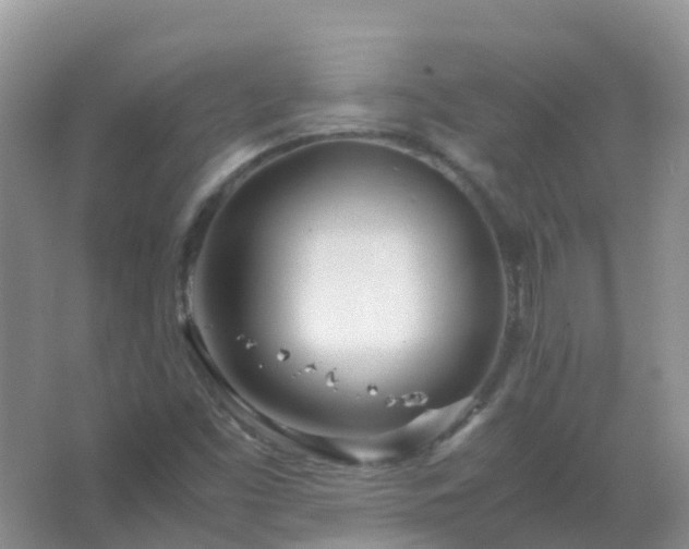 X0000067481453200604150004