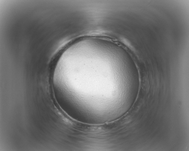 X0000067481456200604150004