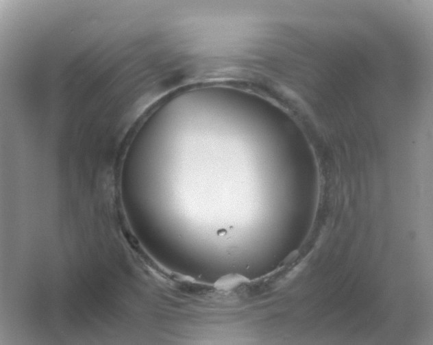 X0000067481457200604150004