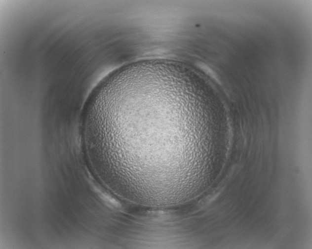 X0000067481458200604150004