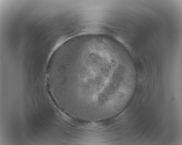 X0000067481459200604150004