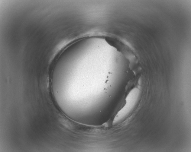 X0000067481461200604150003