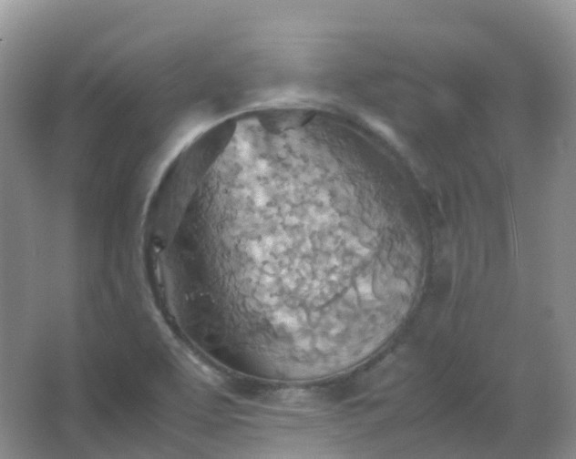 X0000067481463200604150003