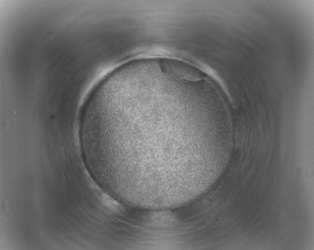 X0000067481464200604150003