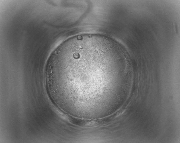 X0000067481467200604150003