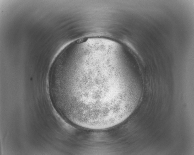 X0000067481468200604150003