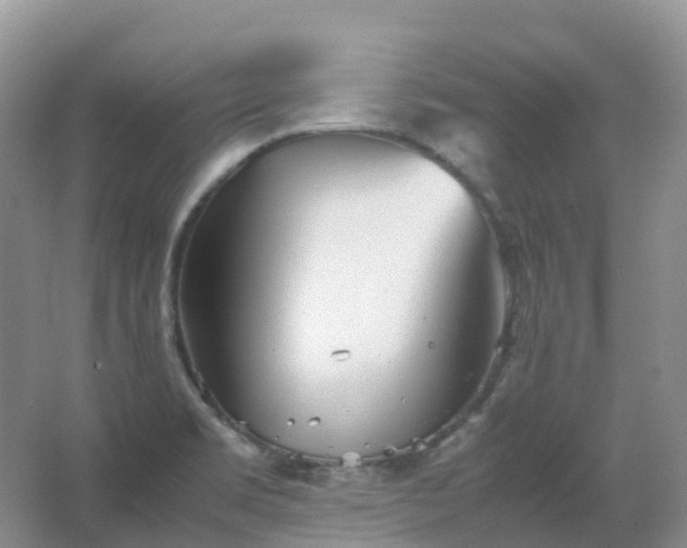 X0000067481469200604150003