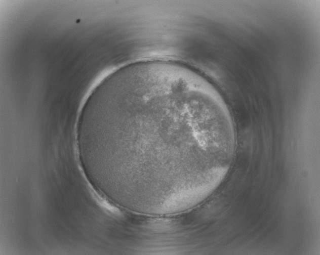 X0000067481470200604150003